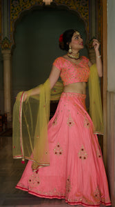 Soft Pink Lehenga Choli Set