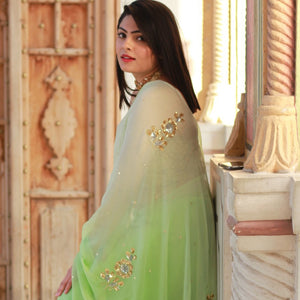 Mint Green Sequin Chiffon Sari